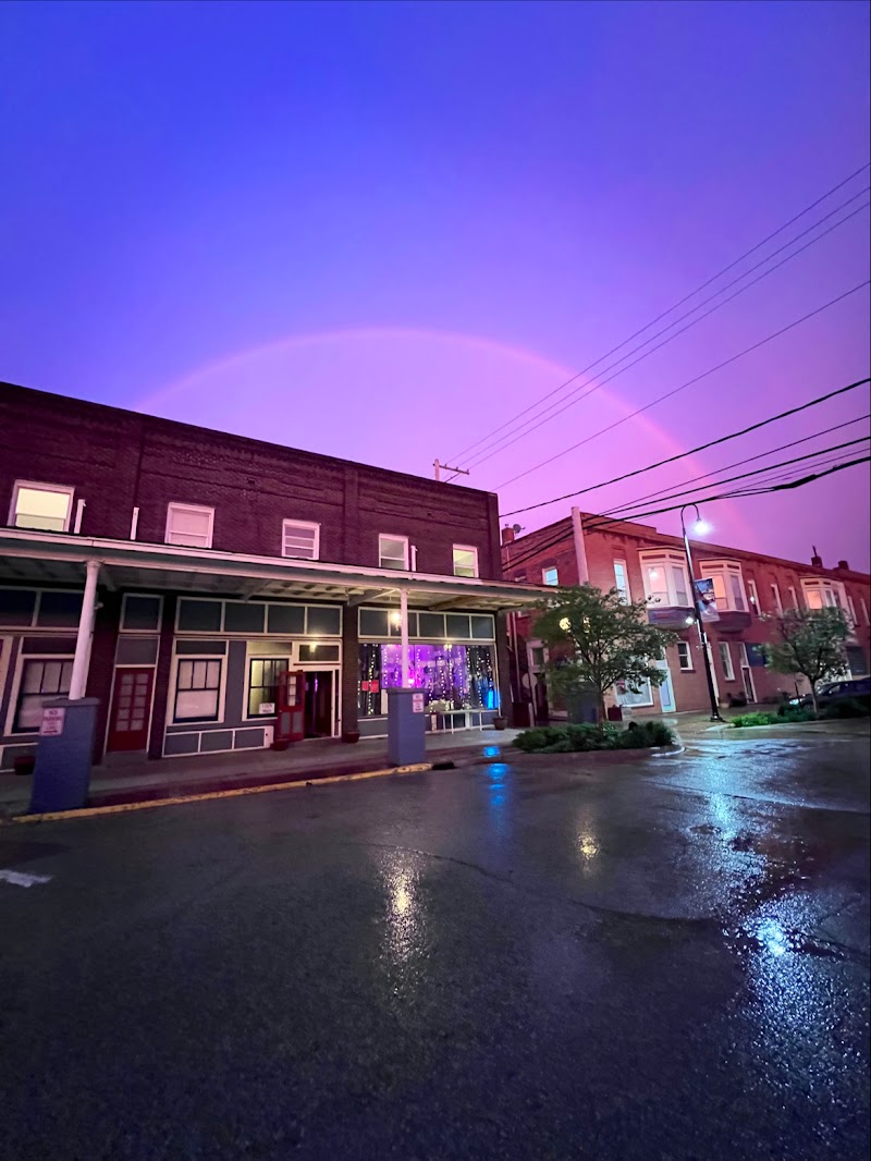 Noble House Kava photo 4