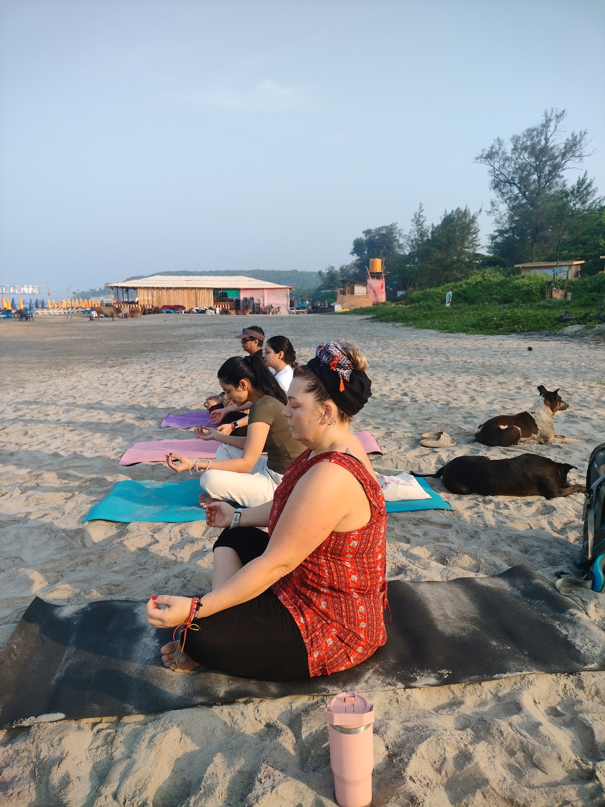 Goa Yoga School - Yoga Teacher Training in Goa — 3