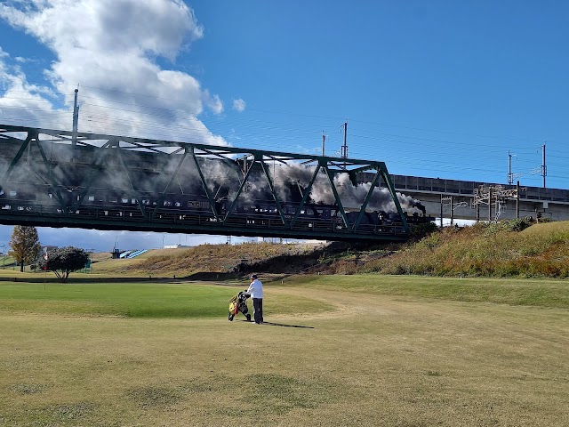 Riverside Park Nagatoishi Golf Course - Photo 8