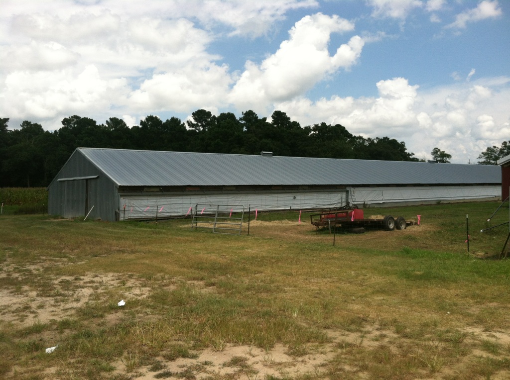 Lowcountry Gamebirds - Bobwhite Quail Farm - South Carolina
