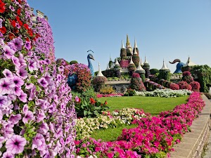 Dubai Miracle Garden