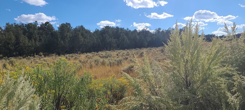 Rancho Rojo Outfitters - Photo 4