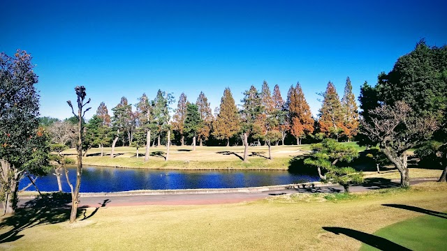 Kounosu Jumbo Golf Center - Photo 6