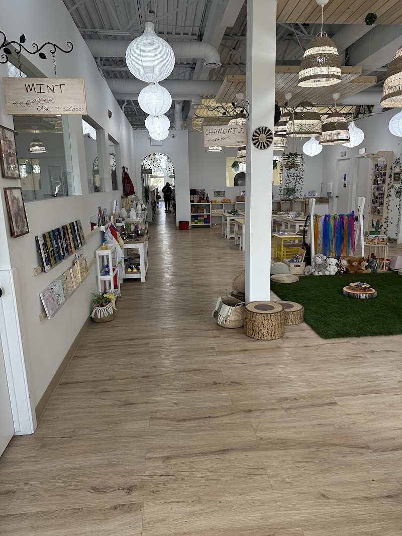 Seed Dayhomes photo 3