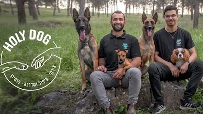Holy dog - הולי דוג