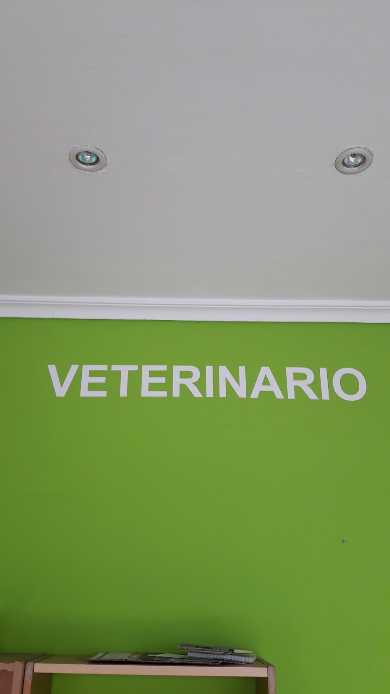 Centro Veterinario San Lázaro