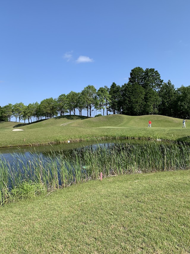 Golf 5 Country Oak Village - Photo 7
