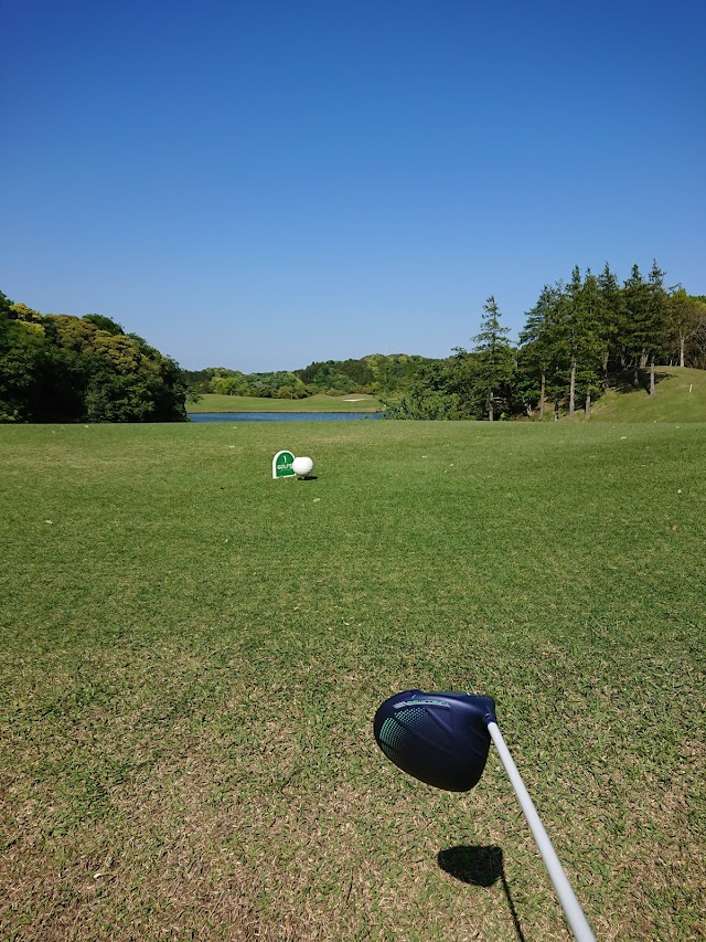 Golf 5 Country Oak Village - Photo 9
