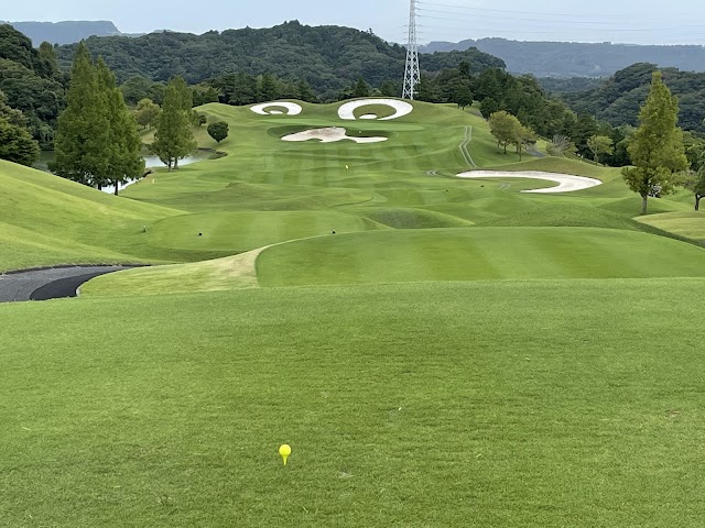 Golf 5 Country Oak Village - Photo 4