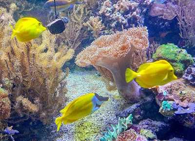 Aquarium Wilhelmshaven