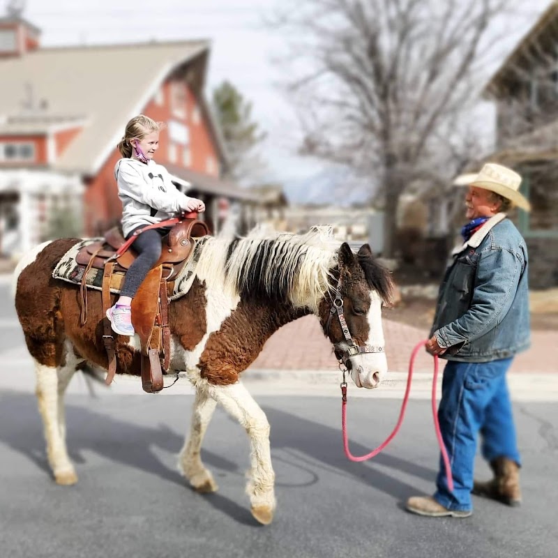 The Farm Animal Rescue; formerly known as The Farm at Gardner Village - Photo 6