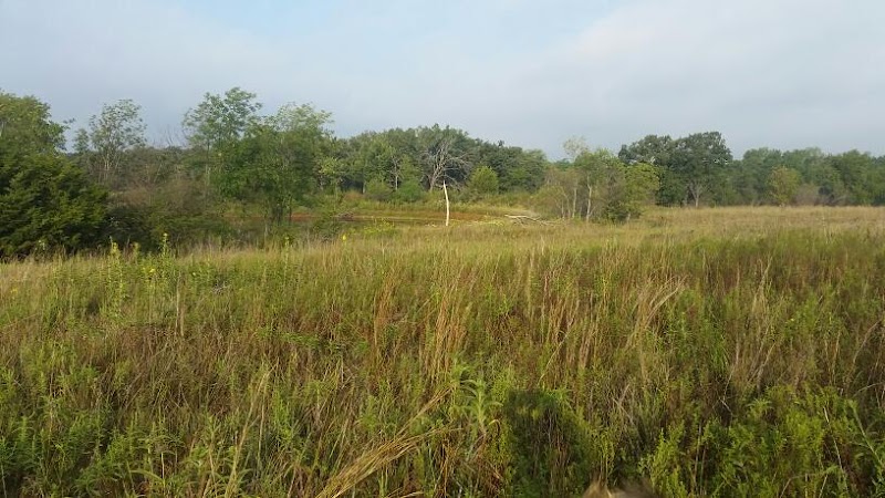 Lexington Wildlife Management Area - Photo 1