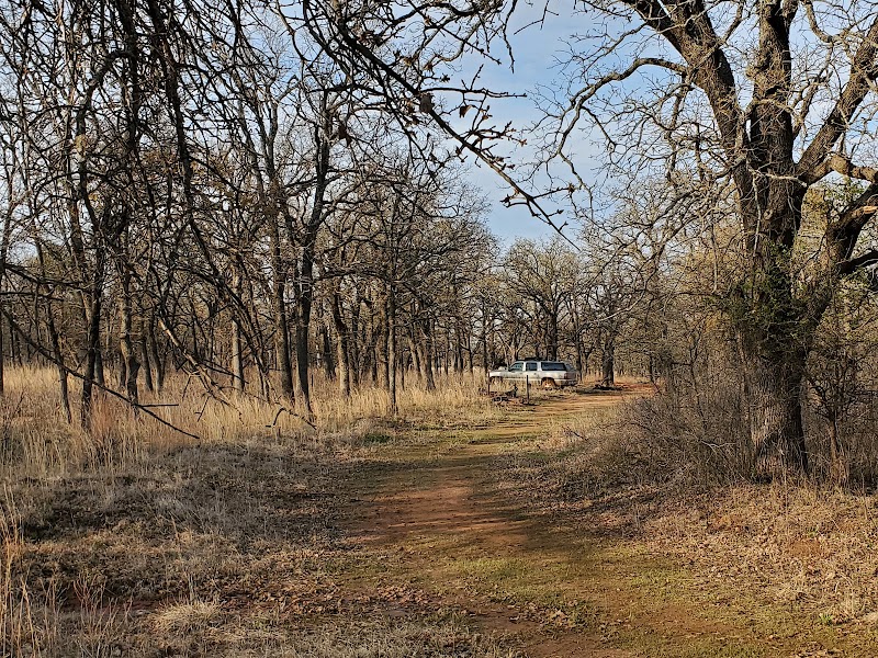 Lexington Wildlife Management Area - Photo 5