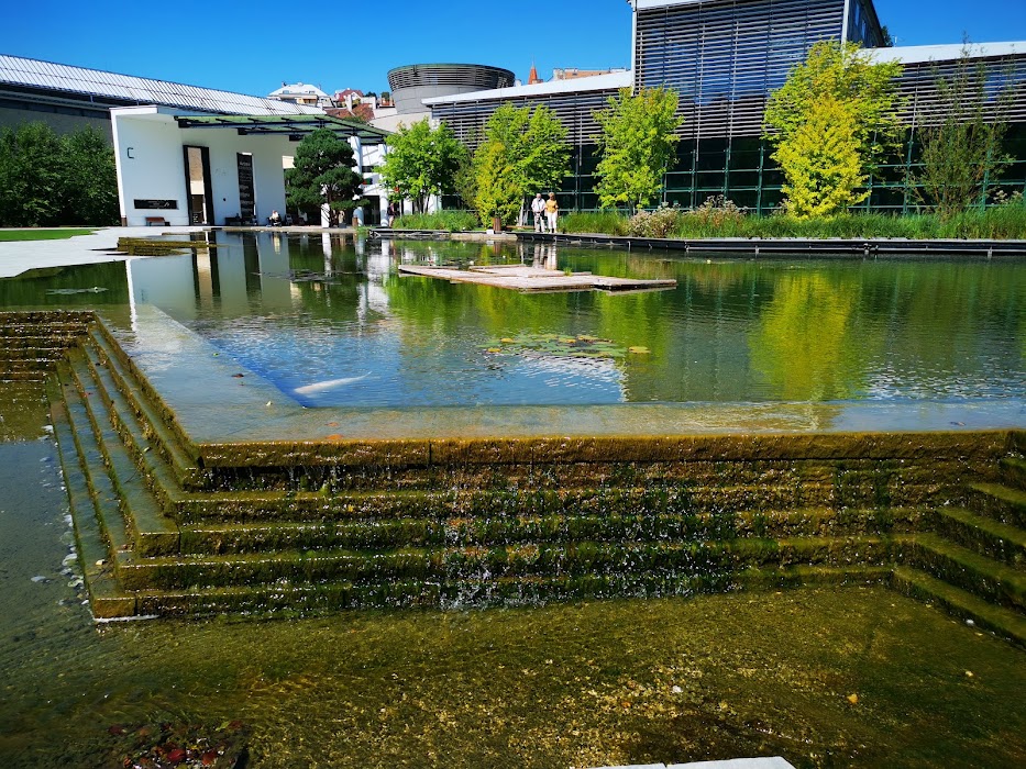 Millenáris Park fotoğraf 1