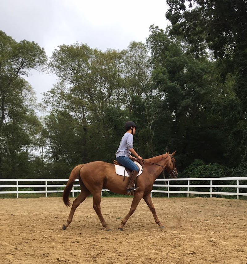 Red Horse Farm - Photo 3