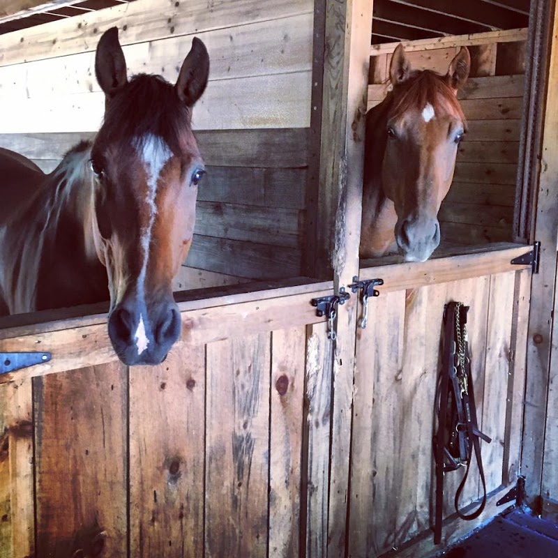Red Horse Farm - Photo 5