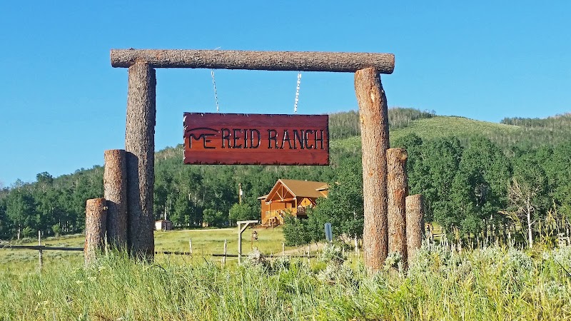 Reid Ranch - Photo 5