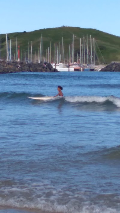 Lee Winkler's Surf School logo
