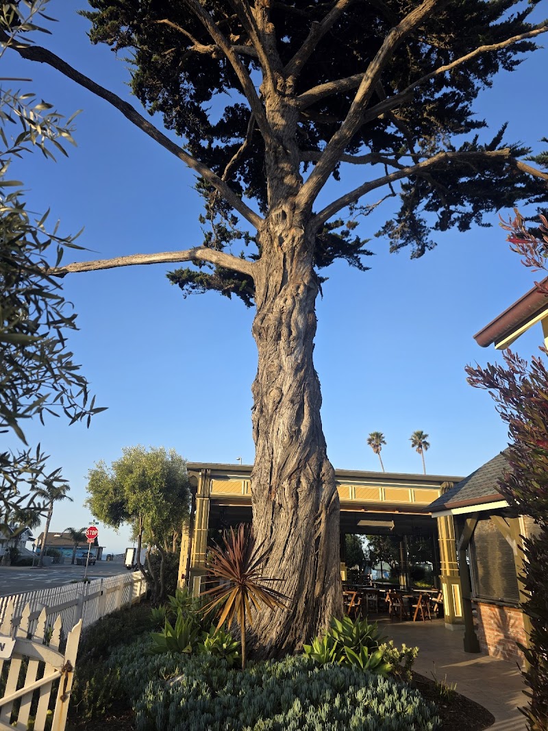 Bijou Bakery photo 4