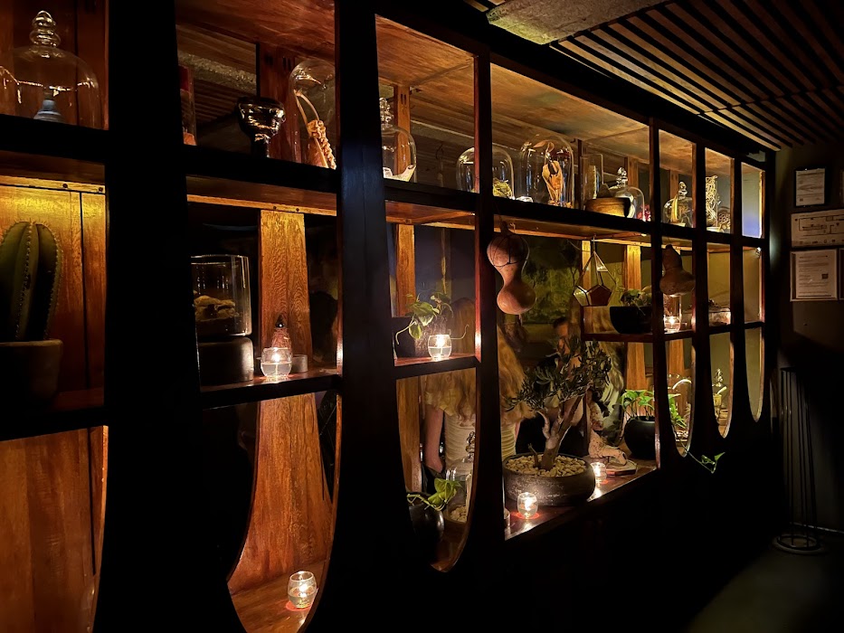Xaman Bar fotoğraf 1