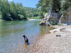 Clínica Veterinaria Vetusta
