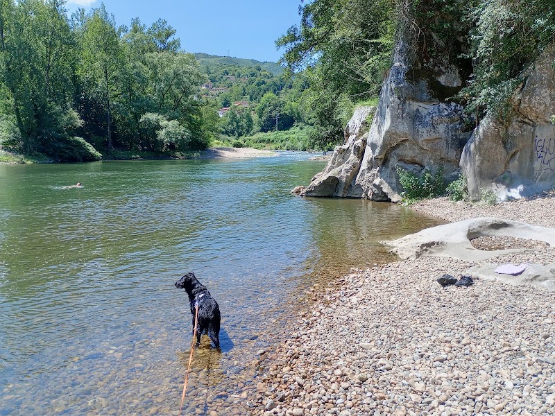 Clínica Veterinaria Vetusta