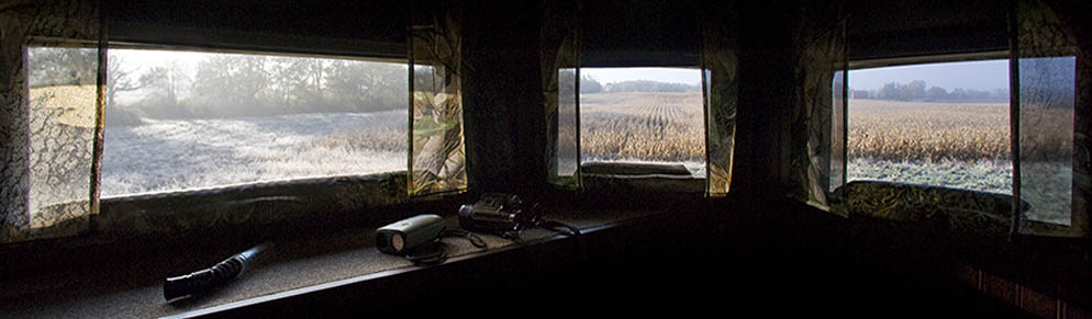 Elysian Fields Hunting Preserve