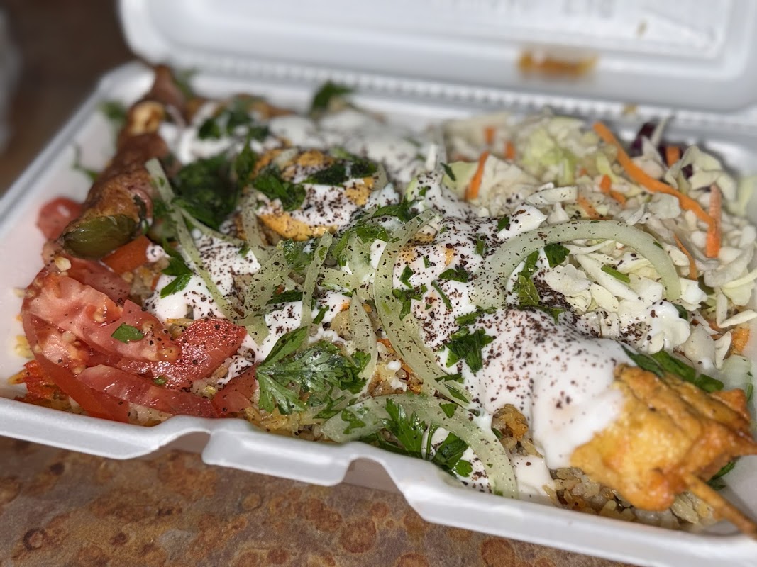 Sahara Sizzle photo 4