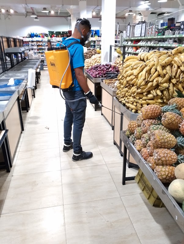 Foto FUMIGACIONES SERMACA 3