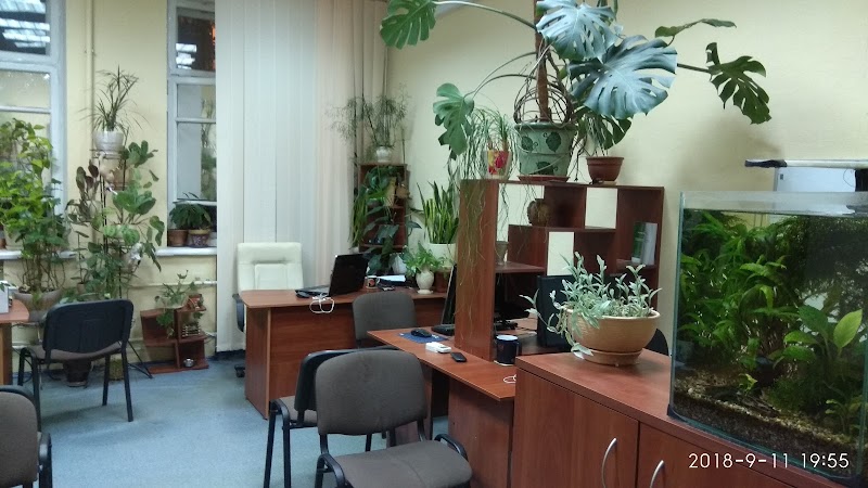 Веб студія Apsite