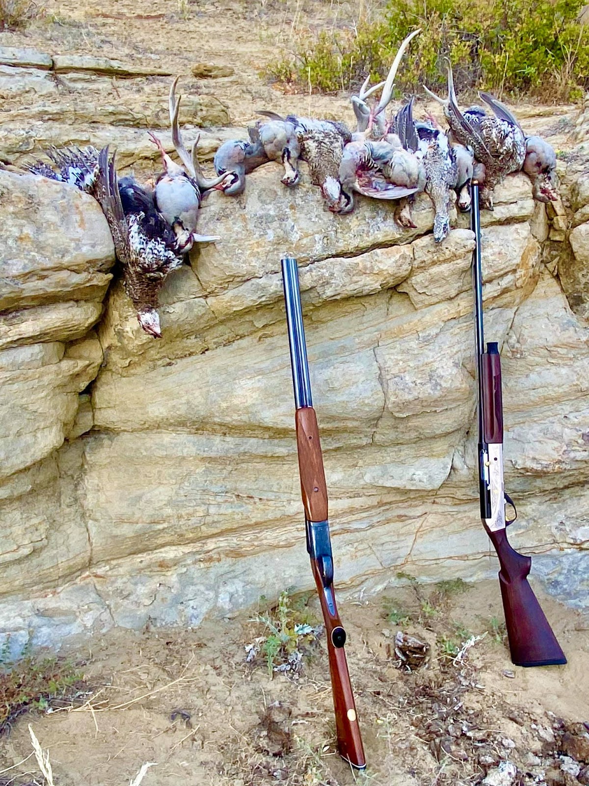Wyoming Upland Outfitters