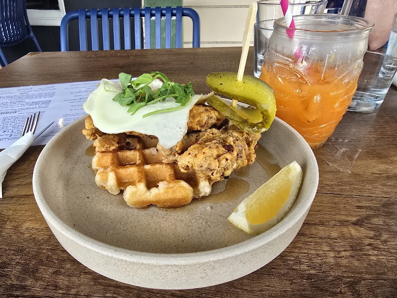 Blue Bear Coffeehouse photo 3