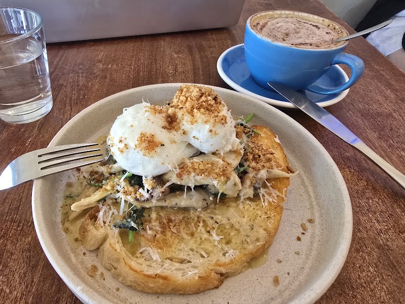 Blue Bear Coffeehouse photo 5