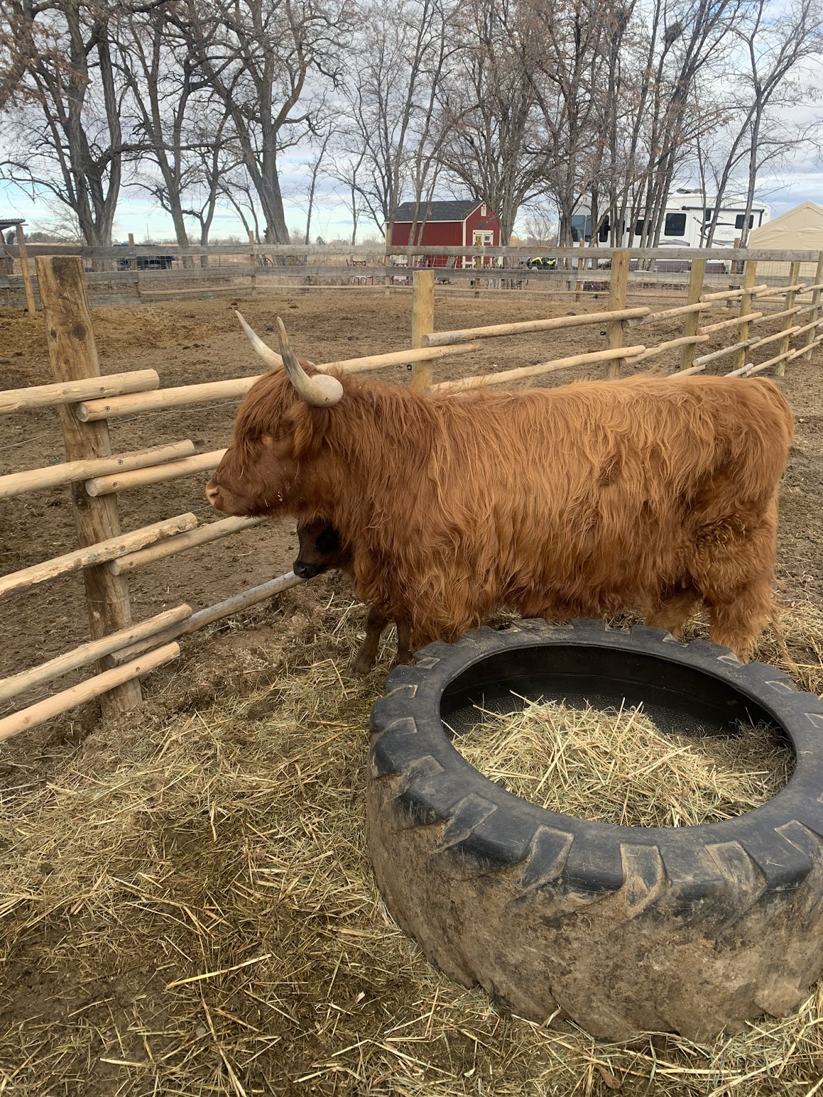 Back Forty Farm & Ranch