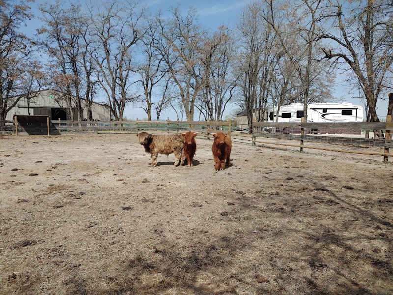 Back Forty Farm & Ranch - Photo 2