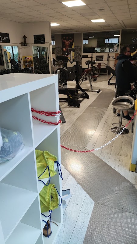 Palestra World