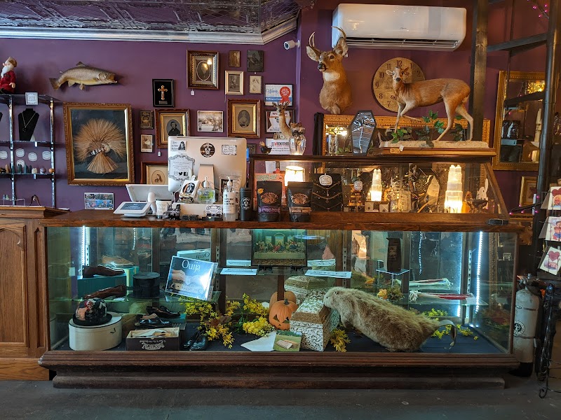 The Strange and Unusual photo 2