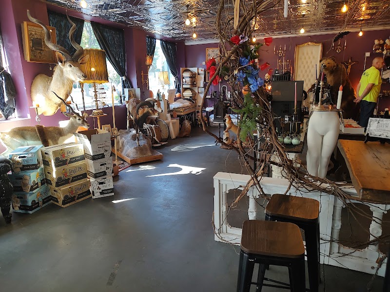 The Strange and Unusual photo 4