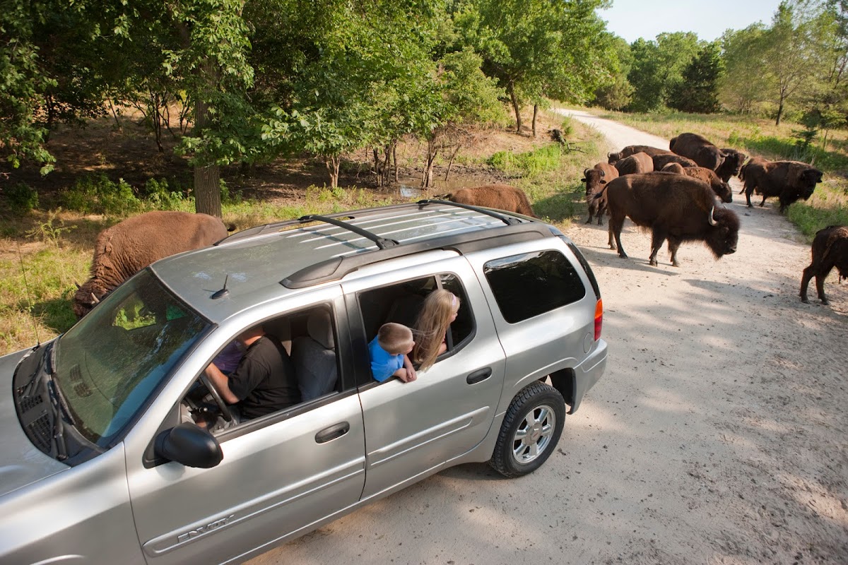 Wildlife Safari Park