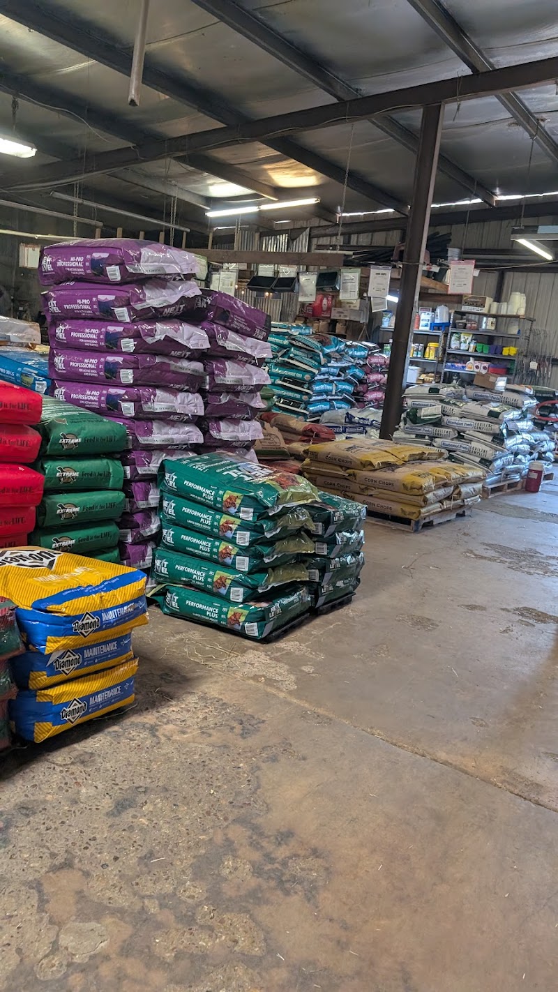 Three Chicks Feed, Seed & Cafe photo 4