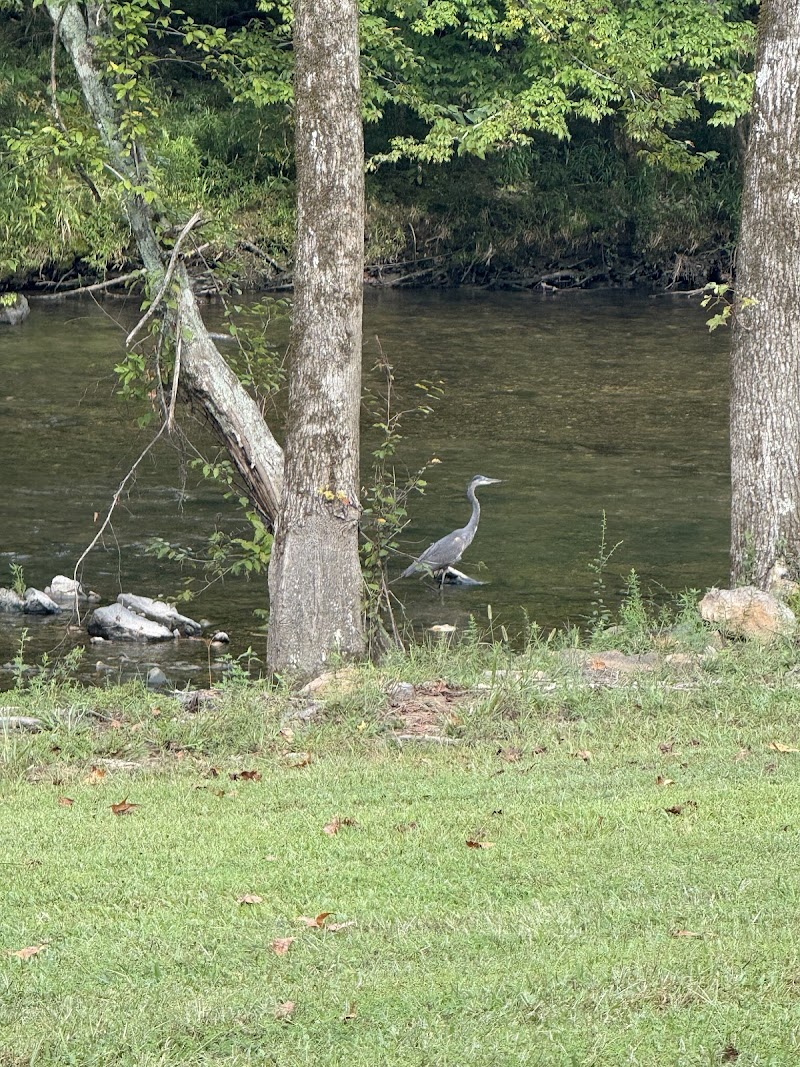 Caddo River Ranch Inc - Photo 4