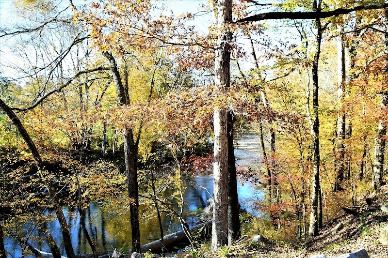 Caddo River Ranch Inc - Photo 2