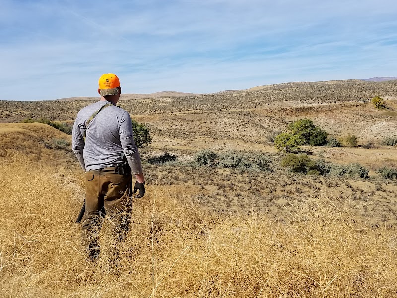Flying Double F Ranch - Photo 2