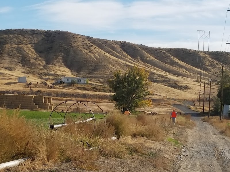 Flying Double F Ranch - Photo 1