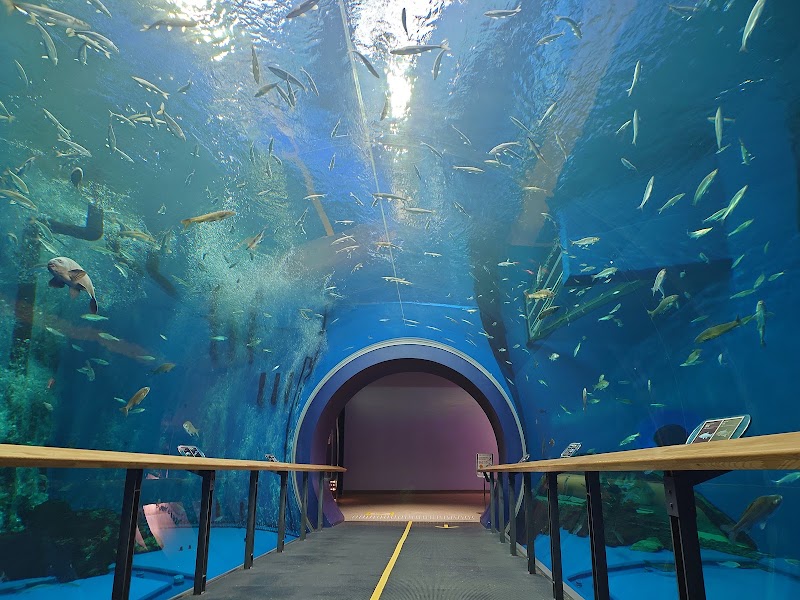 滋賀県立琵琶湖博物館