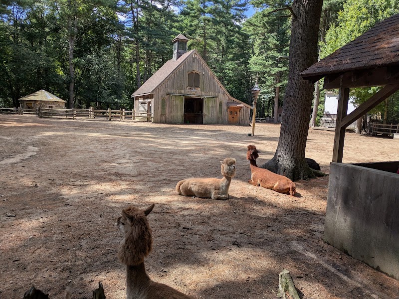 Winslow Farm Animal Sanctuary - Photo 6