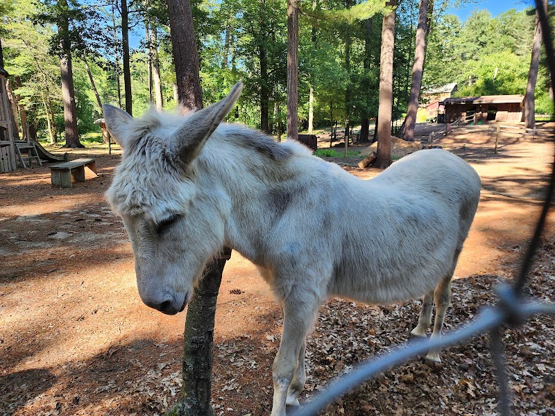 Winslow Farm Animal Sanctuary - Photo 2