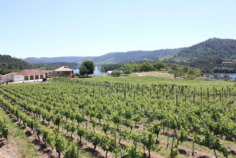 Priorato de Razamonde S.L. photo 1