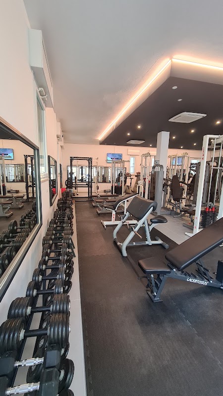 Dynamic Lab - Gym & Wellness