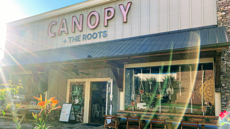 Canopy + the Roots Coffee photo 3